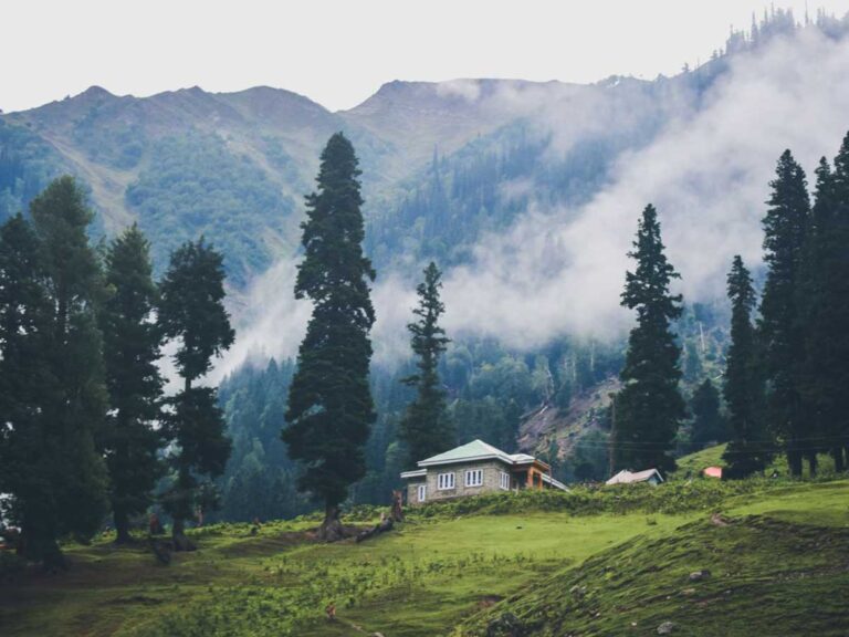 Dharamshala-Dalhousie-5