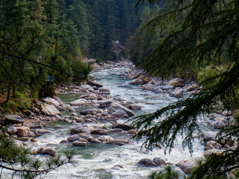 Shimla-Manali-11