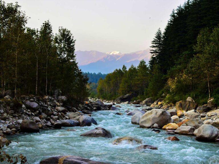 Shimla-Manali-12
