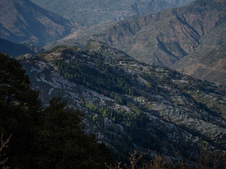 Shimla-Manali-13