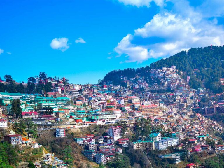 Shimla-Manali-5