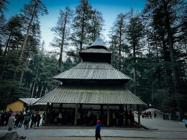 Shimla-Manali-8